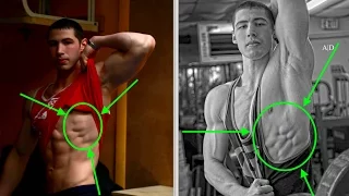 How To Get Serratus Anterior