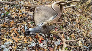 Chad Mendes' MO Whitetail Hunt! | FINZ AND FEATHERZ