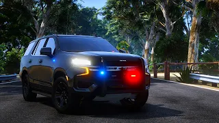 PLAYING As A COP in Diverse Roleplay GTA 5 RP