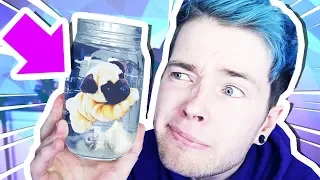 GROWING MY OWN PUG?!?!