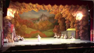 Стуконога Юлия Валерьевна Вариация из вставного па-де-де из балета "Жизель"