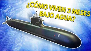 ¿Cómo vive la TRIPULACIÓN dentro de un SUBMARINO? | ¿Cuál es su rutina bajo el agua?