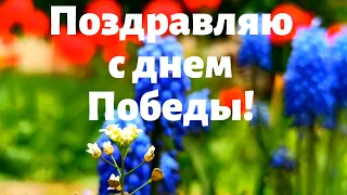 Поздравляю с днем Победы! Красивая музыкальная открытка