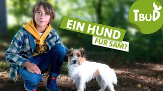 Liebe auf den ersten Blick (Folge 117) | Tiere bis unters Dach | SWR Plus