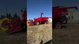 Old Combine Massey Harris