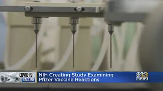 NIH Creating Study Examining Pfizer Vaccine Reactions