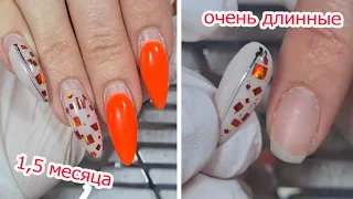 ❤ РАБОТА -  УЖАС ❤обзор ЛЮБИМЫЙ ВАСИЛЕК ❤ СЛОЖНАЯ работа и КУЧА ОТСЛОЕК ❤ #nails #innamaksimova