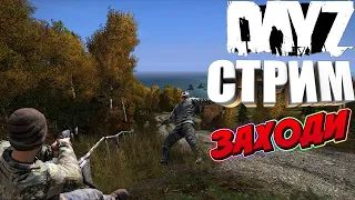 #Dayz #aleksey_TV     Сервер  Zомбилэнд PVE RU Loot x5 1