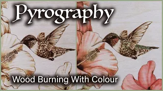 Adding Colour to Wood Burning | Humming Birds