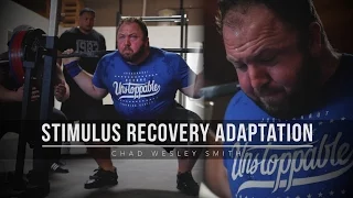 Principle of SRA | Stimulus Recovery Adaptation | JTSstrength.com