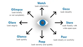 Different ways of "looking"