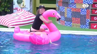 Hipur mbi flamingo, a e realizuan me sukses banorët sfidën për buxhetin? - Big Brother Albania VIP 3