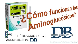 💊 Antibióticos: Aminoglucósidos ¿Qué hace la Amikacina? l Webinar con Dr. Bervíns