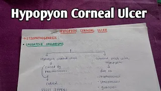 HYPOPYON CORNEAL ULCER | OPHTHALMOLOGY | A K KHURANA