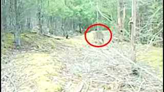 3 Most Mysterious Jungle Discoveries That Can't Be Explained