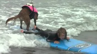 Surf Dog Ricochet and Ian - Excerpt from "Going The Distance"