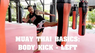 Muay Thai Basics: Body Kick (Left) - AKA Techniques