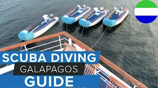 Galapagos Diving Tips - How To Make The Most Of Your Trip!