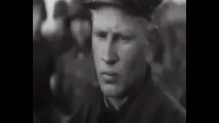 Битва за Київ 1943 рік Чорна піхота знищення Українців Battle for Kyiv in 1943 black infantry