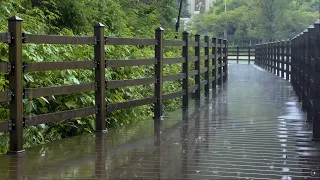 The best rain sound for insomnia sleep on a rainy walk ASMR Comfortable white noise