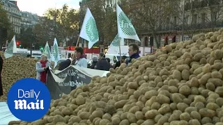 French farmers fury as they dump potatoes in central Paris - Daily Mail