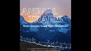 Short film explores the migration of animals in the Grand Tetons