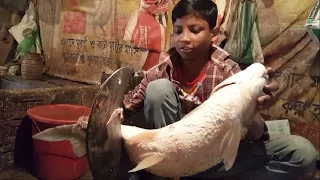 Big White Carp Fish Slice into Chunks in The Fish Market Dhaka Bangladesh