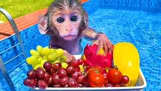 Bon Bon Monkey Eats Fruit In The Pool With His Cute Best Friends - Bon Bon Farm