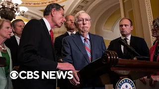 Sen. Mitch McConnell freezes during news conference