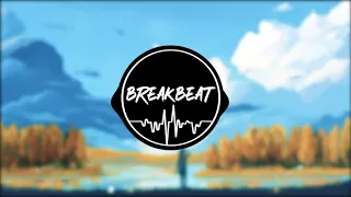 Dj CrAv3 - Emotions  | Breakbeat |