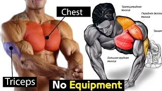 FULL EXERCISE BODYWEIGHT CHEST / TRICEPS workout