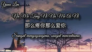 Na Me Teng Ni Na Me Ai Ni 那么疼你那么爱你 (sangat menyayangimu, sangat mencintaimu) Da Huan 大欢 Lyrics