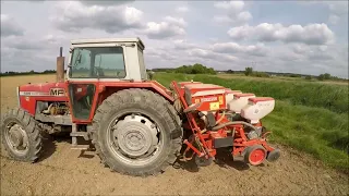 Gaspardo MT 4 Sjetva Kukuruza 2024 / Corn planting