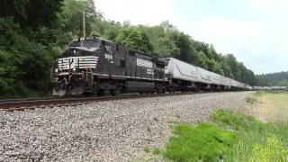 NS short eastbound intermodal at Enon Valley, PA.