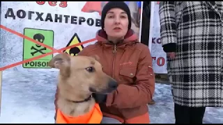 видеобращение живая линия "за принятие закона о защите животных" Екатеринбург