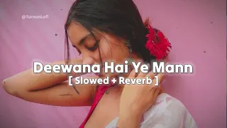 Deewana Hai Ye Mann ( Slowed + Reverb ) Sonu Nigam | Alka Yagnik | Old Song Lofi Slowed Reverb