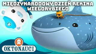 Oktonauci - 🐋 Międzynarodowy Dzień Rekina Wielorybiego 🦈 | Kompilacja | Całe odcinki