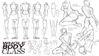 🙌🏻 BODY ANATOMY POSE CLASS [ "A to Z" TUTORIAL ] 🙌🏻