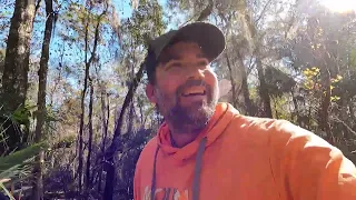 Hog Hunting Florida Public Land (Shot a Sow in less than an hour of hunting!!!)