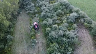 Brush Hogging Overgrown Field