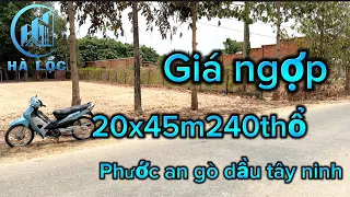 Đất đường nhựa chính phước an gò dầu 20x45 240thổ giá bán lổ