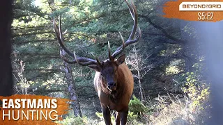 Giant Bull Up Close!! Bow Hunting Elk in 4K
