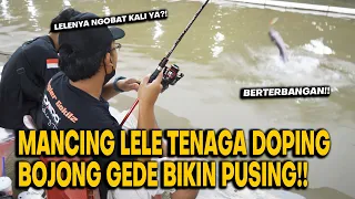 GALAKNYA LELE DOPING BIKIN MANCING JADI GAK PUSING! GALATAMA TELAGA ELOK BOJONG GEDE | INDAH NIAN!!!