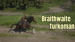 Getting the Braithwaite Turkoman in Chapter 3 via the 'Stable Window Method' : Red Dead Redemption 2