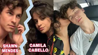 CAMILA CABELLO AND SHAWN MENDES ANNOUNCE BREAK UP BUT WILL CONTINUE TO BE BEST FRIENDS