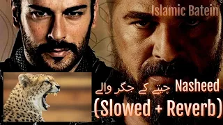 SuperHit Song Cheetay Ka Jigar Rakhtay Hain (Slowed + Reverb)  انا ثائرانا ثائر - Abdullah Mehboob