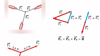 TEORIA Le Forze sono Vettori AMALDI ZANICHELLI