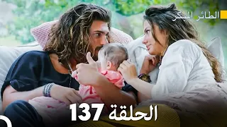 مسلسل الطائر المبكر الحلقة 137 (Arabic Dubbed)