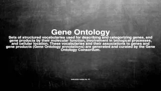 Medical vocabulary: What does Gene Ontology mean