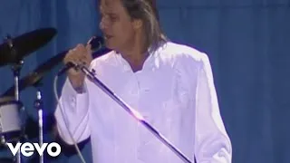 Roberto Carlos - Amor Perfeito (Vídeo Ao Vivo)